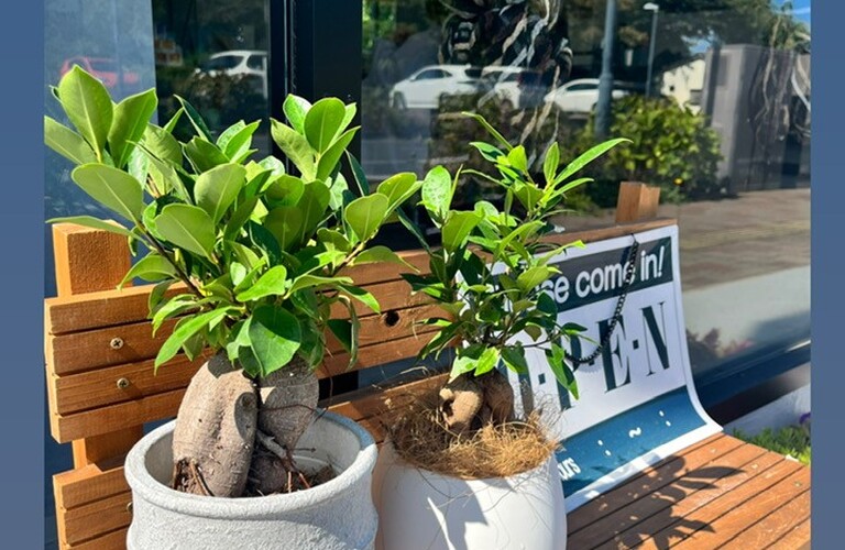 美容室ajuga、3連休中も桜川市で元気にOPENしております✨