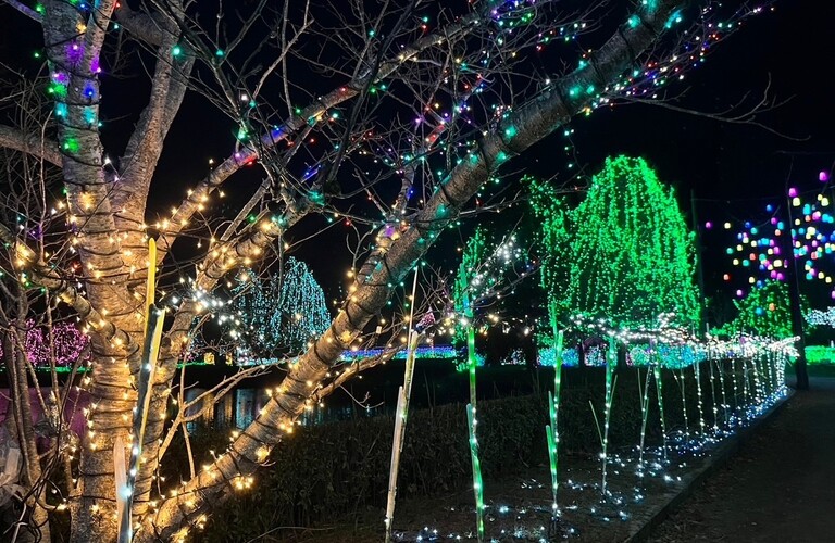 クリスマス、年末年始のご予定はお決まりですか⁉桜川市で髪をオシャレにするならajugaで美容室は決まりです！